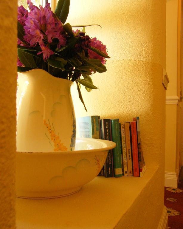 Druid Cottage Kenmare Zewnętrze zdjęcie